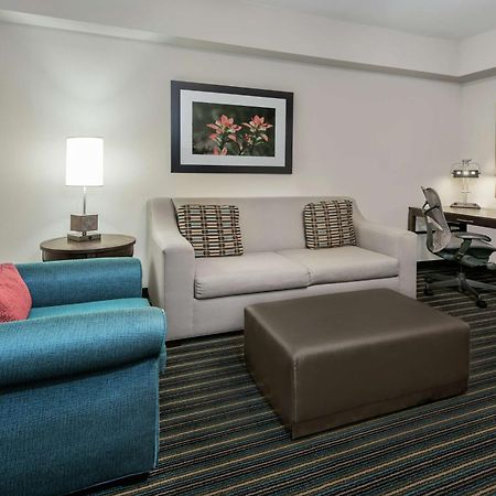 Hilton Garden Inn San Antonio/Rim Pass Drive Ngoại thất bức ảnh